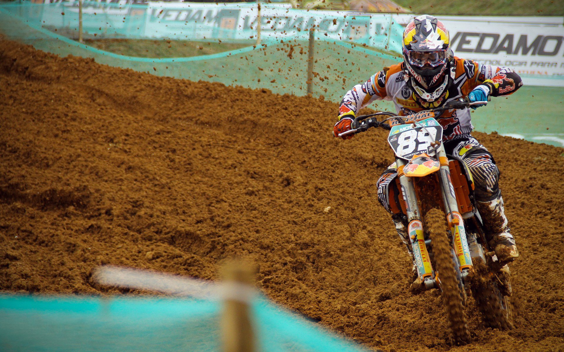 KAIYUNAPP-“冠军之梦”——青训营新星登顶之路，冠军梦亲子游泳训练中心价格